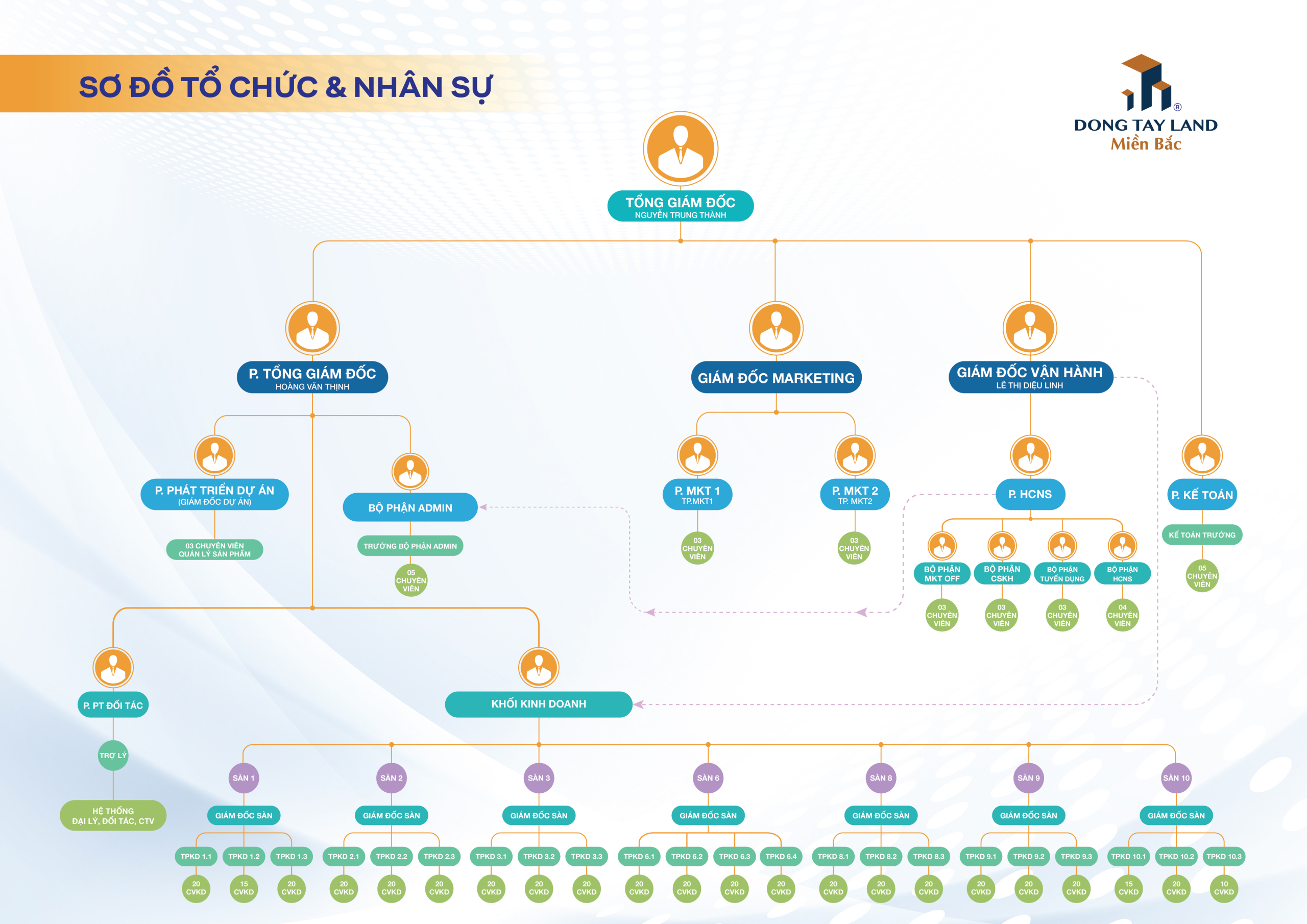 Hồ sơ nhân sự Đông Tây Land Miền Bắc